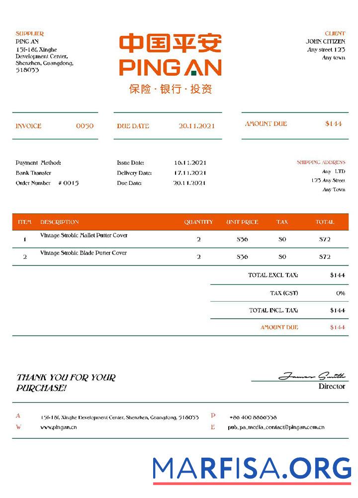 Realistic USA Ping An invoice template